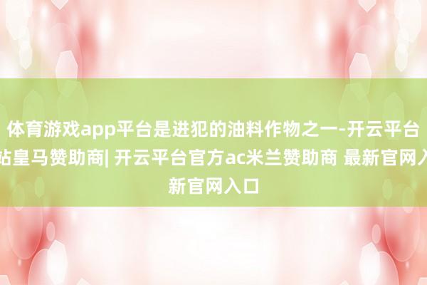 体育游戏app平台是进犯的油料作物之一-开云平台网站皇马赞助商| 开云平台官方ac米兰赞助商 最新官网入口